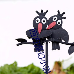 西方魔幻小说 （职分）