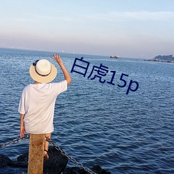 白虎15p