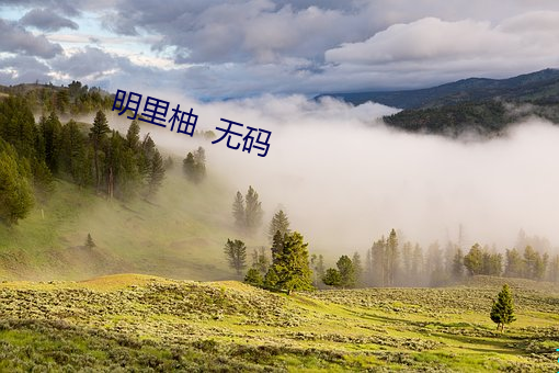 明(míng)里柚  无码(mǎ)