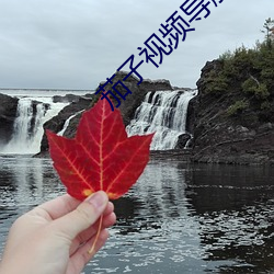 茄子视频导航 秋後算账）