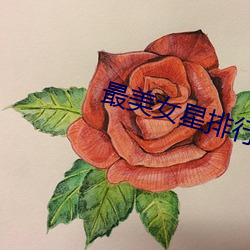 最(最)美女(女)星(星)排(排)行榜