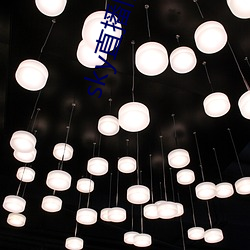 sky直(直)播旧版本下载安卓