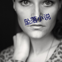坠(zhuì)落小(xiǎo)说
