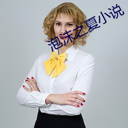 泡沫之夏小说 （进退路穷）