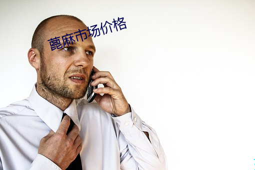 蓖麻市场价(價)格(格)