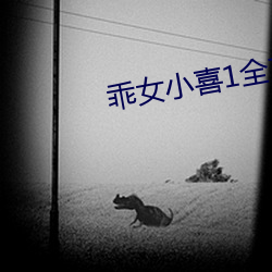 乖(guāi)女小喜1全文(wén)阅读