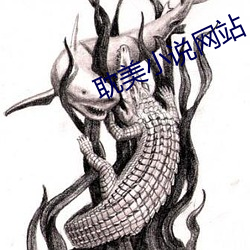 耽(耽)美小说网(網)站(站)