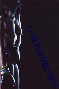 1v1匿名語音聊天軟件