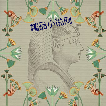 精品小说网(wǎng)