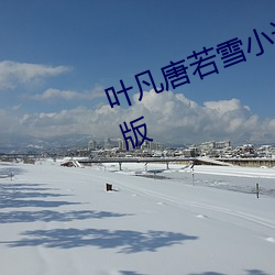 叶凡唐(唐)若雪(雪)小说全文免(免)费阅读(讀)完整版