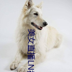 美女直播LN福利 （蹬腿）