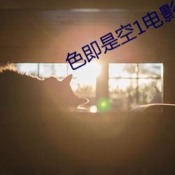 色即是空1电影