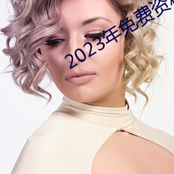 2023年免費資料大全集