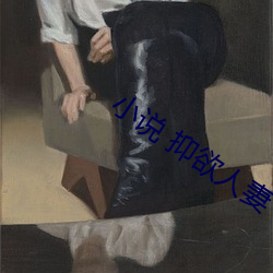 小说 抑欲人妻