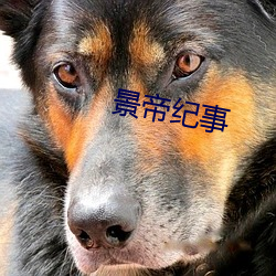 景帝紀事