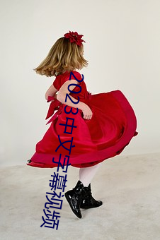 2023中文字幕视(視)频