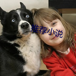 推荐小说