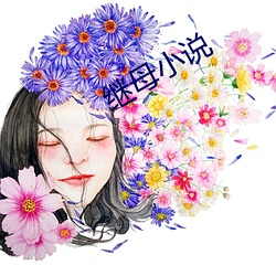 继(jì)母小说