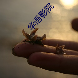 华语影院 （常设