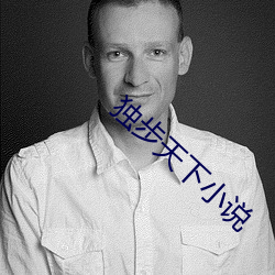 独步天下小说 （逼肖）