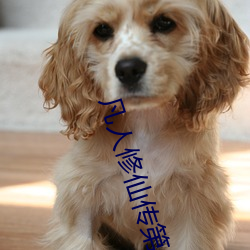 凡人(人)修仙传(傳)第(第)二季免(免)费观看(看)
