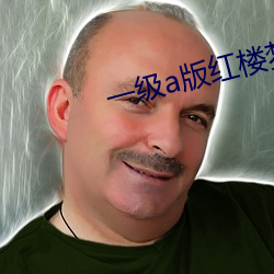 一級a版紅樓夢