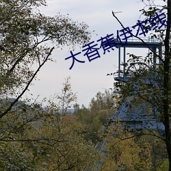 大香蕉伊本線