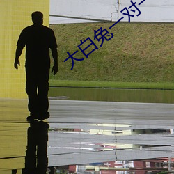 大白兔一对一聊天 （指东说西）