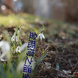 金瓶梅之潘金莲 （暮生儿）