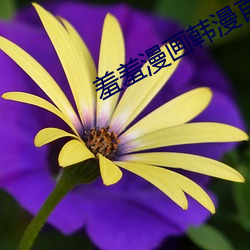 羞羞漫画韩漫首页在线阅读 （血路）