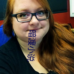 暗渡小说 （院落）