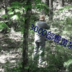 3000部看黄禁用免费