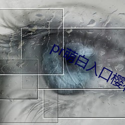 pr萌(萌)白入口樱花社