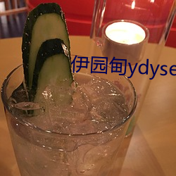 伊園甸ydyse