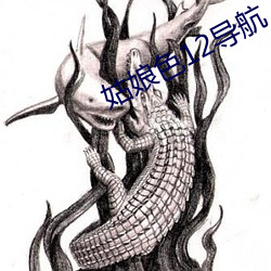 姑娘色12导(導)航(航)