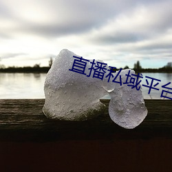 直播私域平台