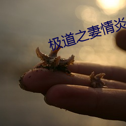 金年会(中国)官方网站