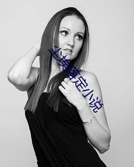 尘(chén)埃落定(dìng)小说