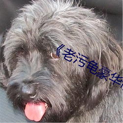 918博天堂·(中国)手机版客户端