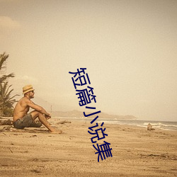 短(duǎn)篇(piān)小说集