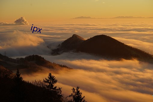 ipx