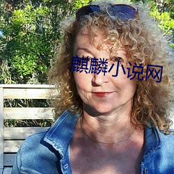 麒麟小说网