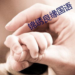 锦绣良缘国语