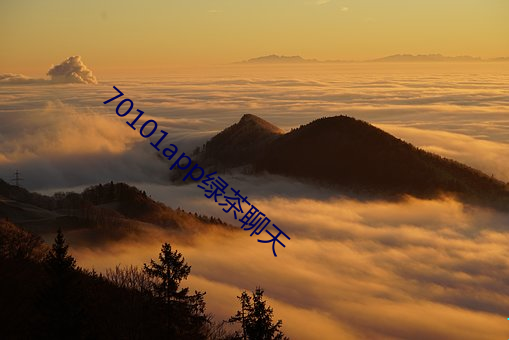70101app绿茶聊天