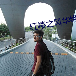 红楼之风(風)华绝黛