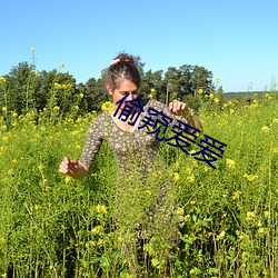 偷窺愛愛