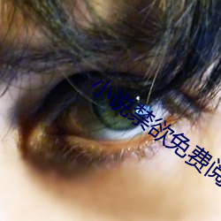 小说禁欲免费阅读