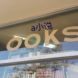 a小說