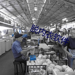 脱内衣软件