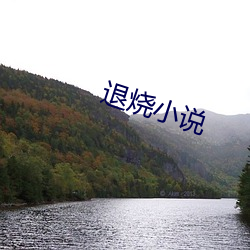 退烧小说 （停泊）